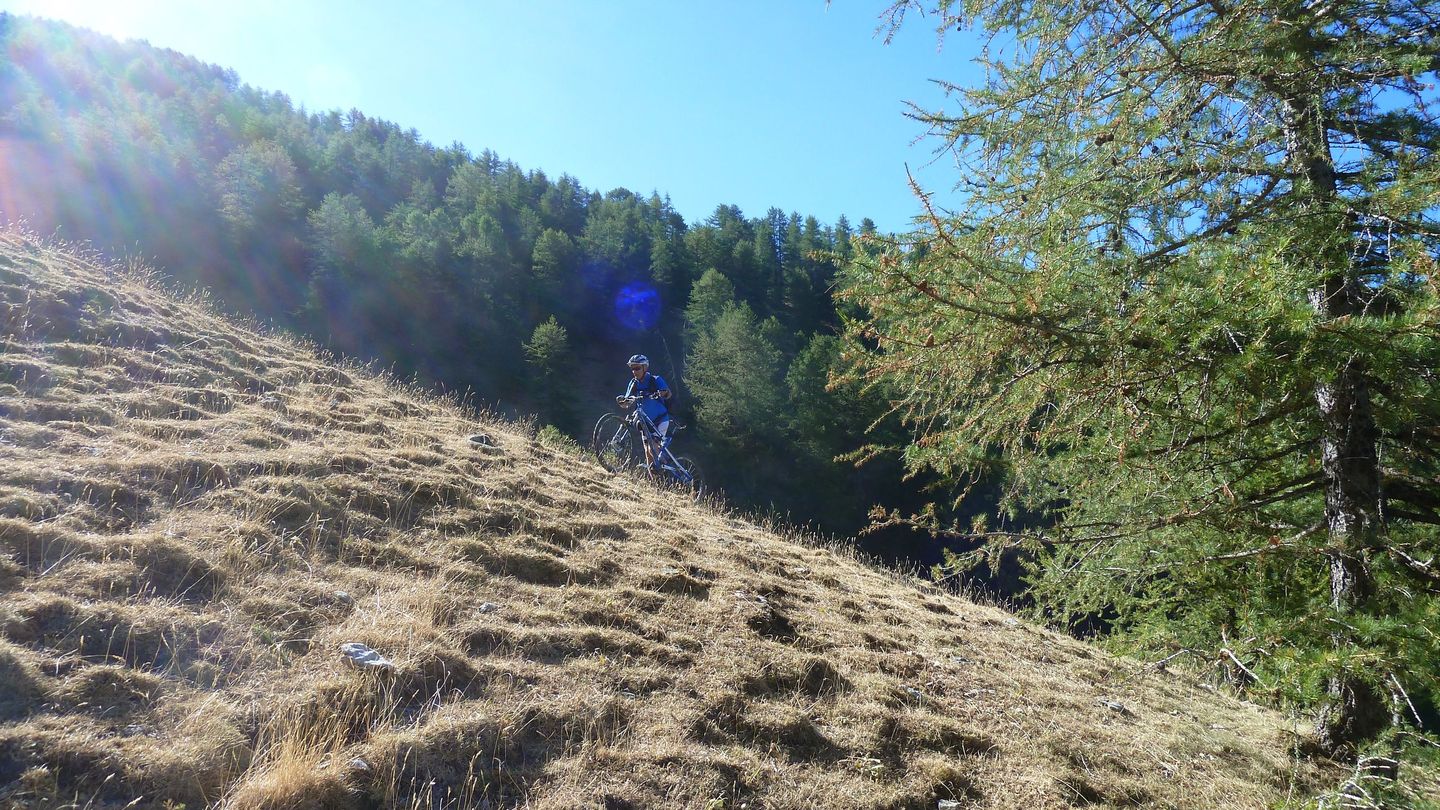 couguyon_2017_223.JPG