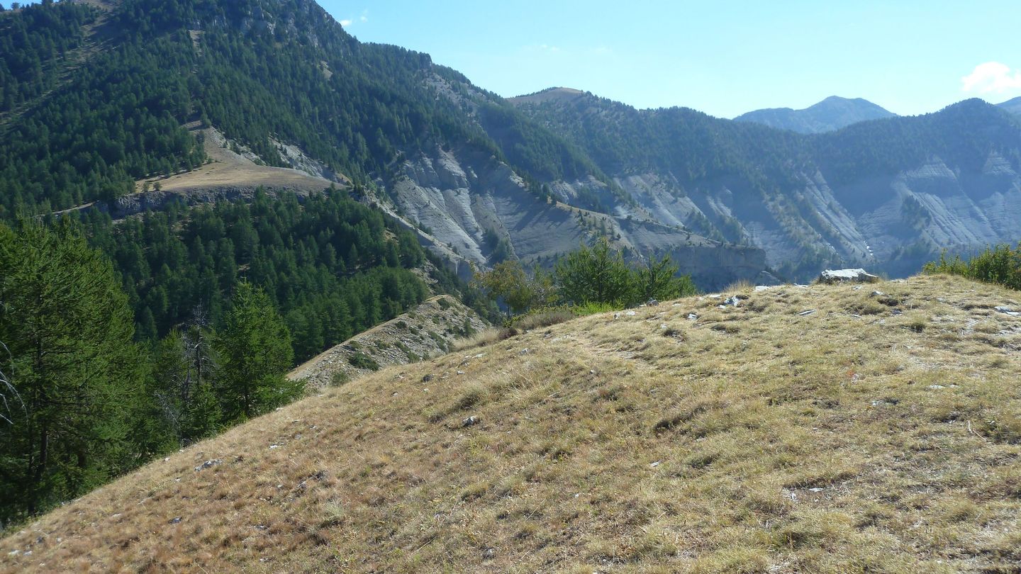couguyon_2017_289.JPG