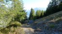couguyon_2017_073.JPG