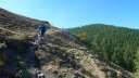 couguyon_2017_184.JPG