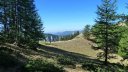 couguyon_2017_238.JPG