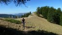couguyon_2017_328.JPG