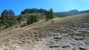 couguyon_2017_343.JPG