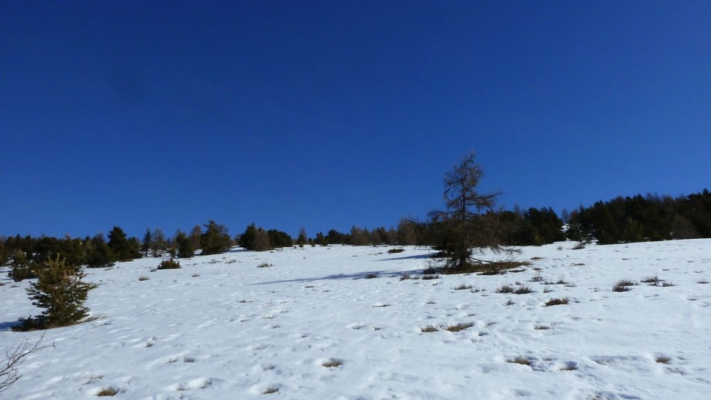 P1160900.JPG