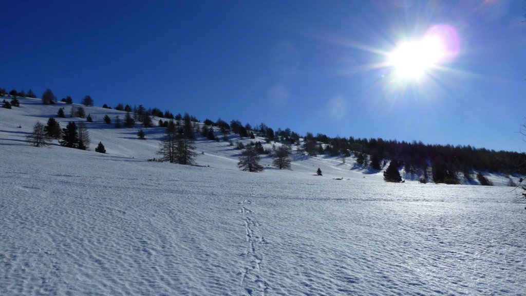 couradour_mars_2015_036.jpg