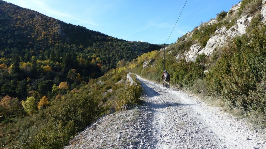 P1100784.JPG