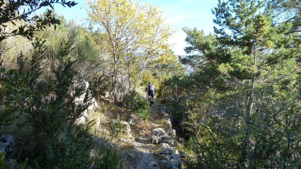 P1100805.JPG