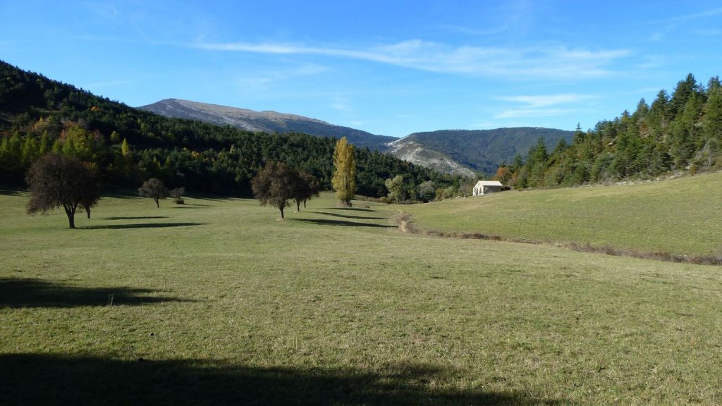 P1100810.JPG