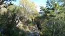 P1100805.JPG