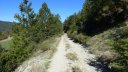 courchons-morietz_avr_2017_055.JPG