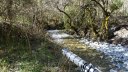 courchons-morietz_avr_2017_067.JPG