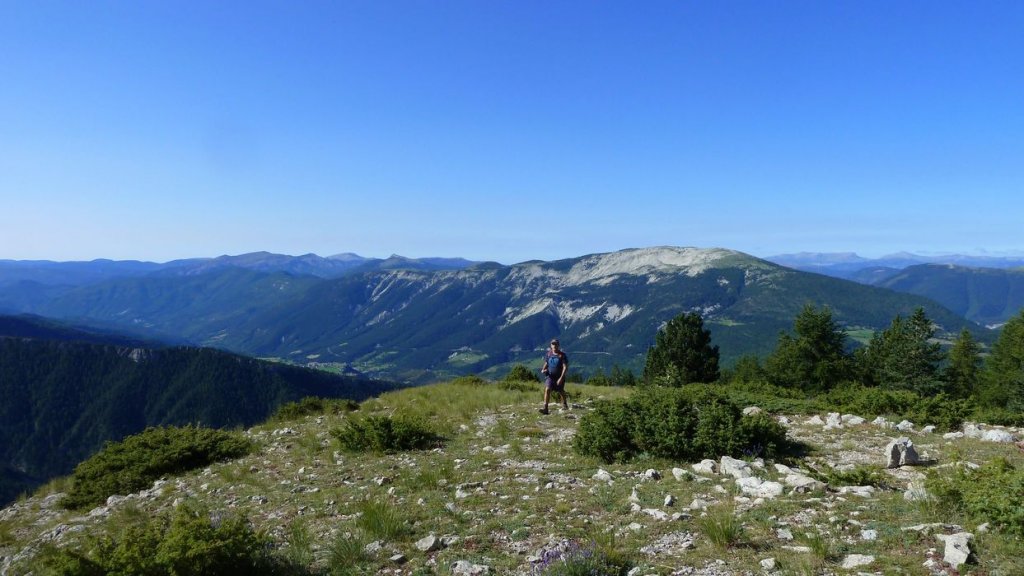 courradour_aout_2014_138.jpg