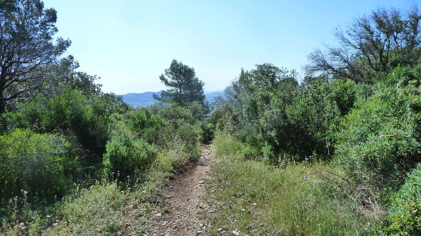 couvent_st_hubert_juin_2018_077.JPG