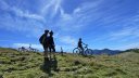 crete_autapie_aout_2016_065.JPG