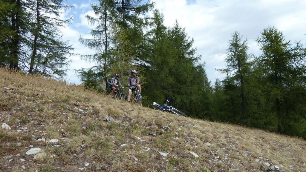 crete_autapie_espiniers_2012_068.jpg