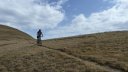 crete_autapie_espiniers_2012_056.jpg