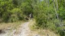crete_autapie_espiniers_2012_106.jpg