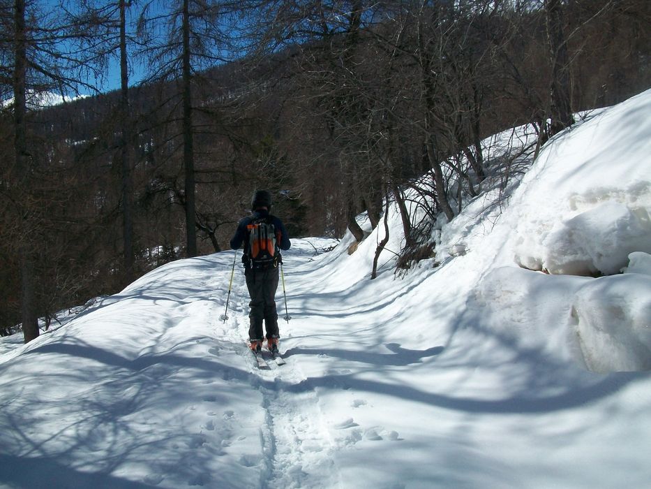 100_4914.JPG