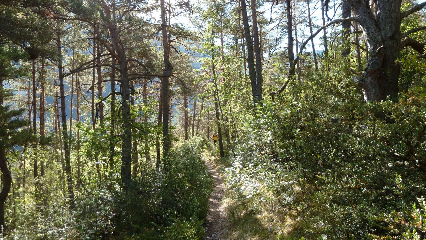 P1010865.JPG