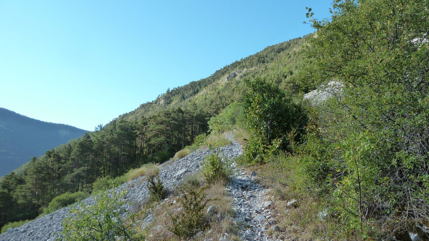 P1010867.JPG