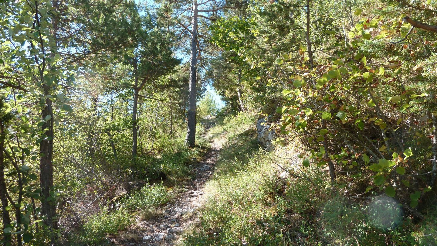 P1010882.JPG