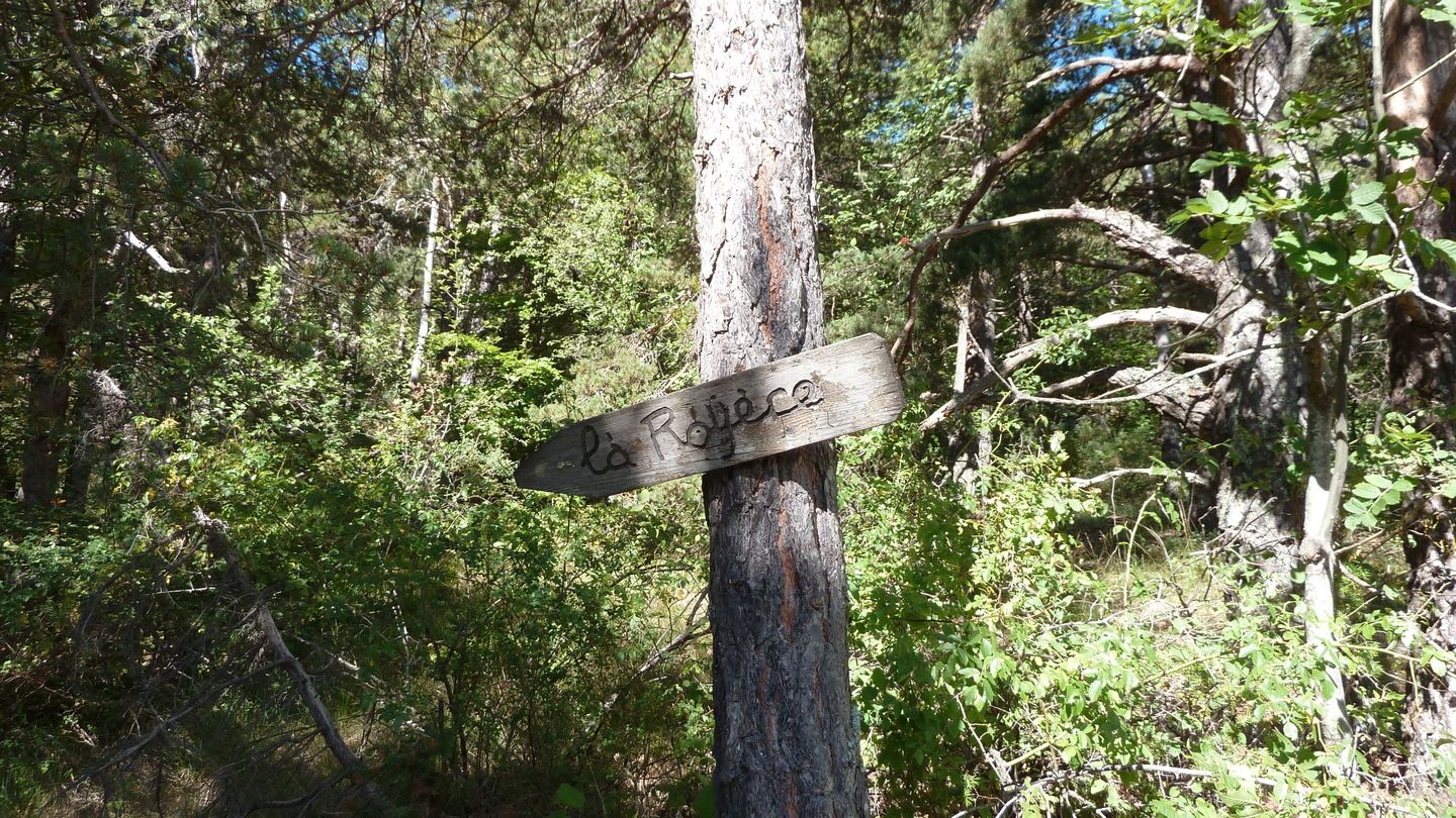 P1010893.JPG