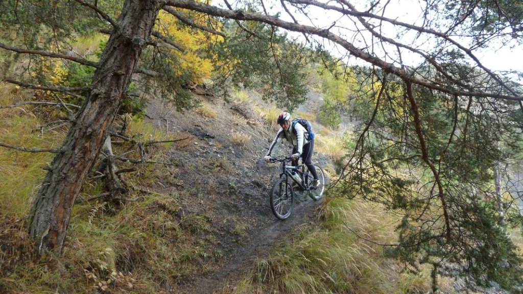 croix_du_puy_2011_055.jpg