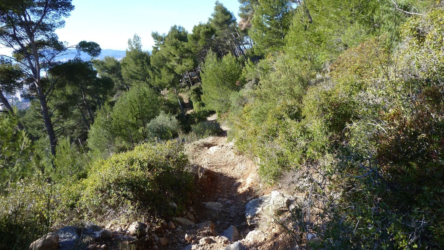 croix_faron_fev_2018_0101.JPG