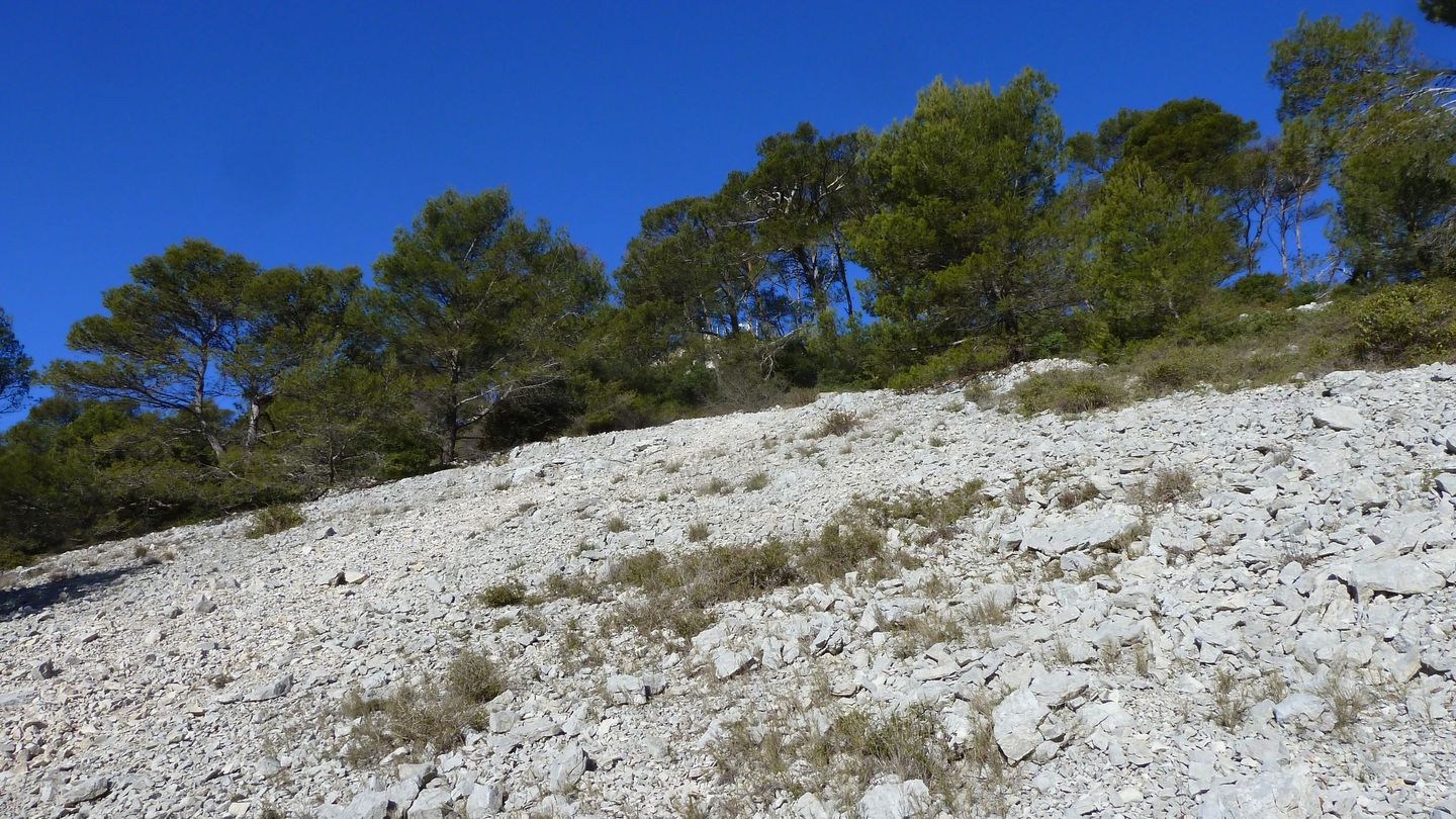 croix_faron_fev_2018_081.JPG
