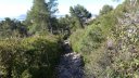 croix_faron_fev_2018_0103.JPG