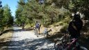 croix_du_ouy_roufleiran_2012_022.jpg