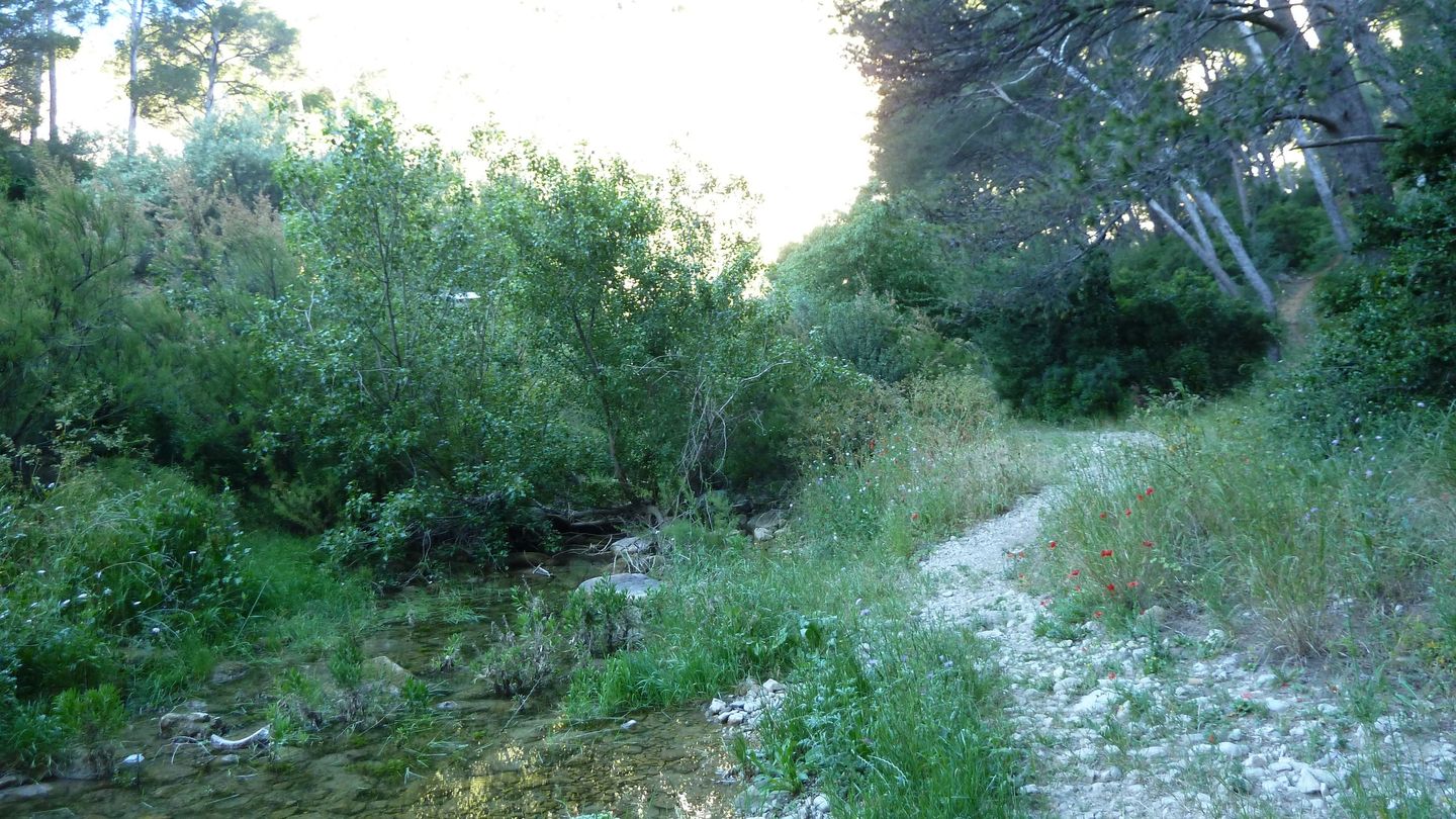 destel_mai_2017_02.JPG