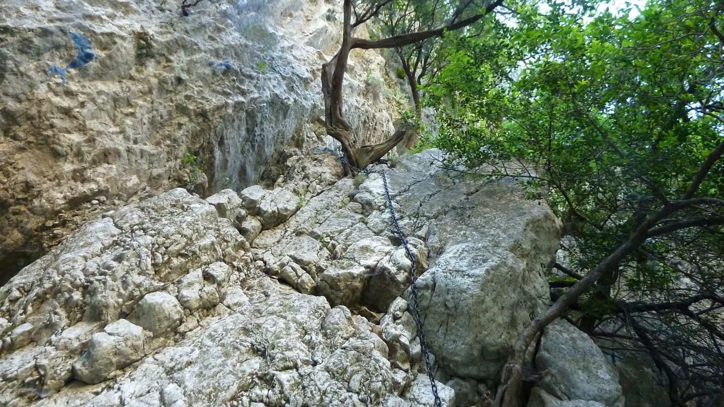 destel_mai_2017_34.JPG
