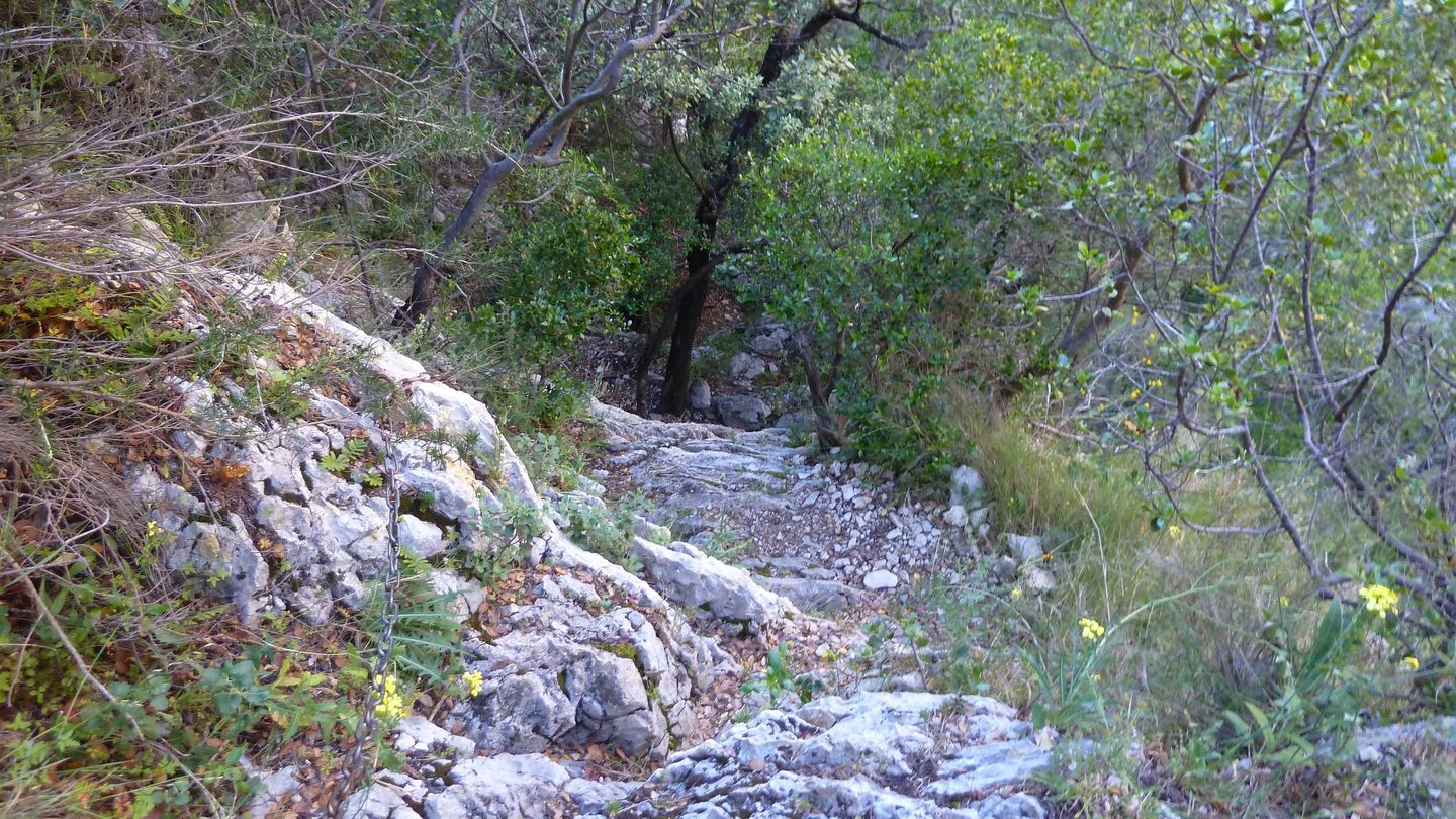 destel_mai_2017_37.JPG