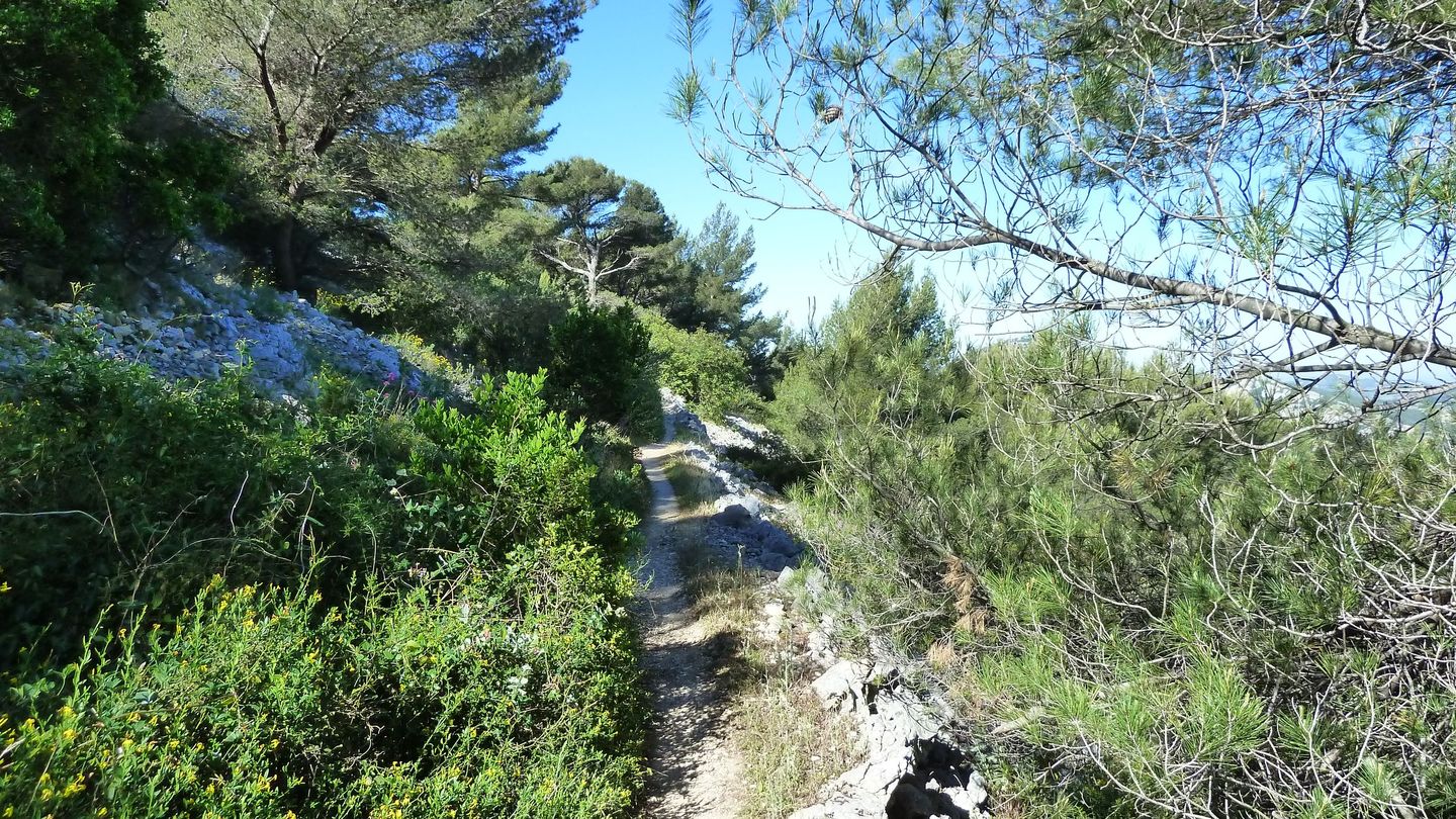 destel_mai_2017_49.JPG