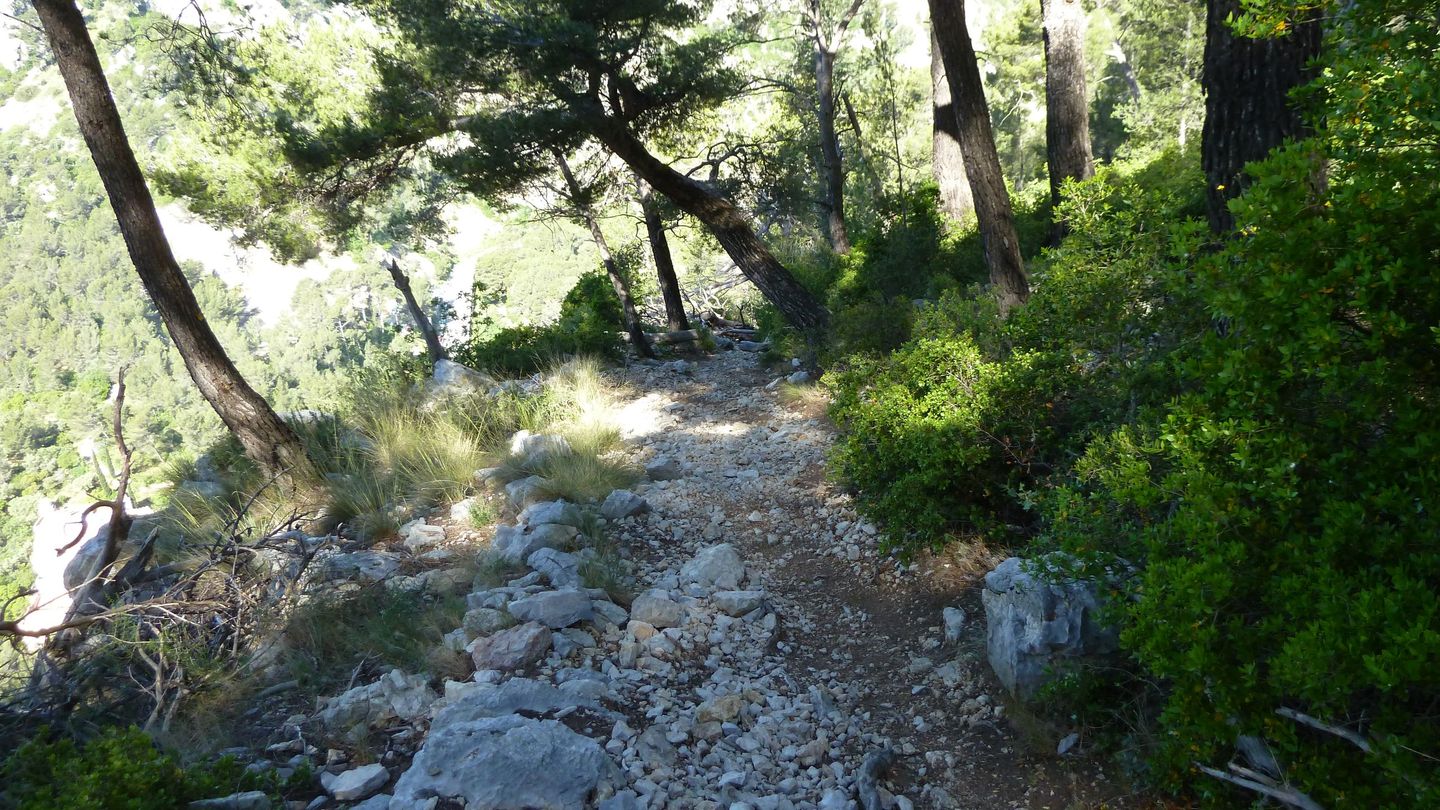 destel_mai_2017_52.JPG
