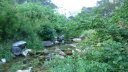 destel_mai_2017_06.JPG