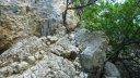 destel_mai_2017_34.JPG