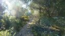 destel_mai_2017_46.JPG