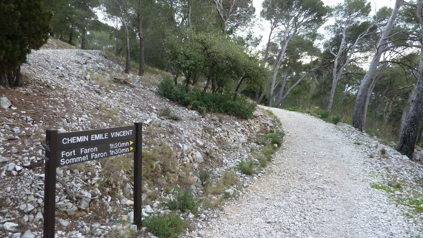 P1000032.JPG