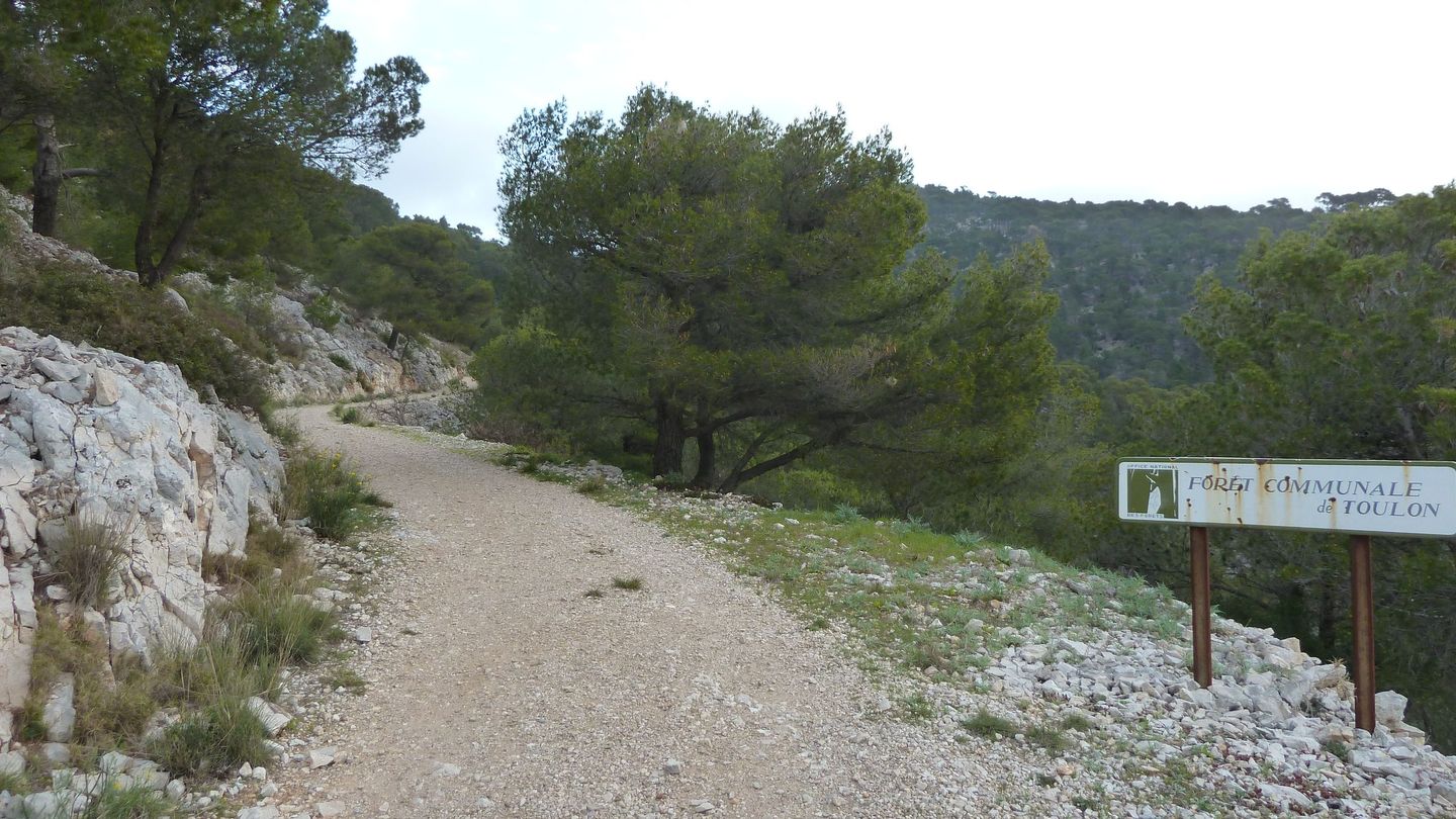 P1000033.JPG