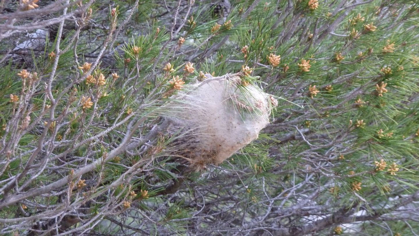 P1000034.JPG