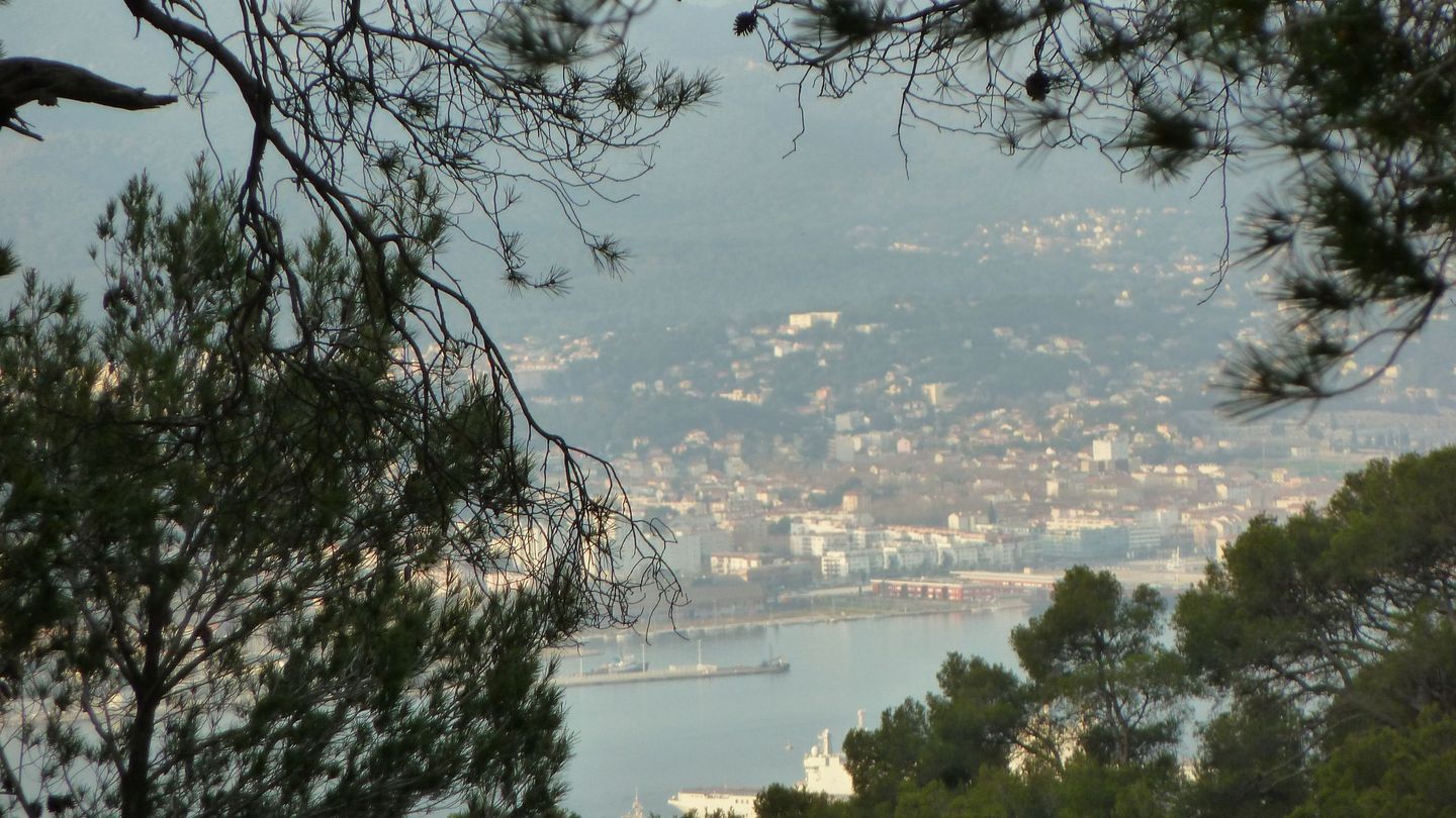 P1000038.JPG