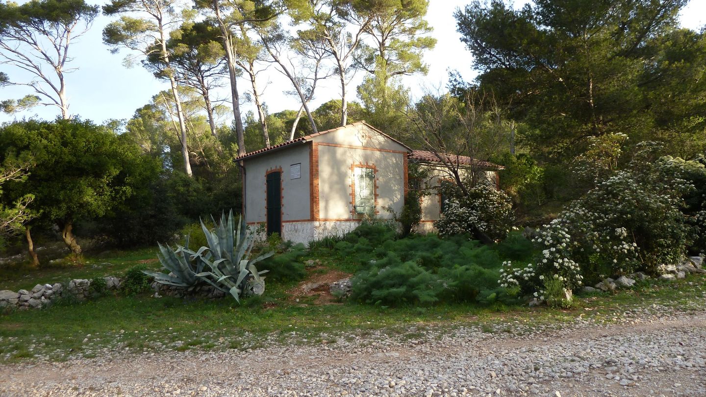 P1000046.JPG