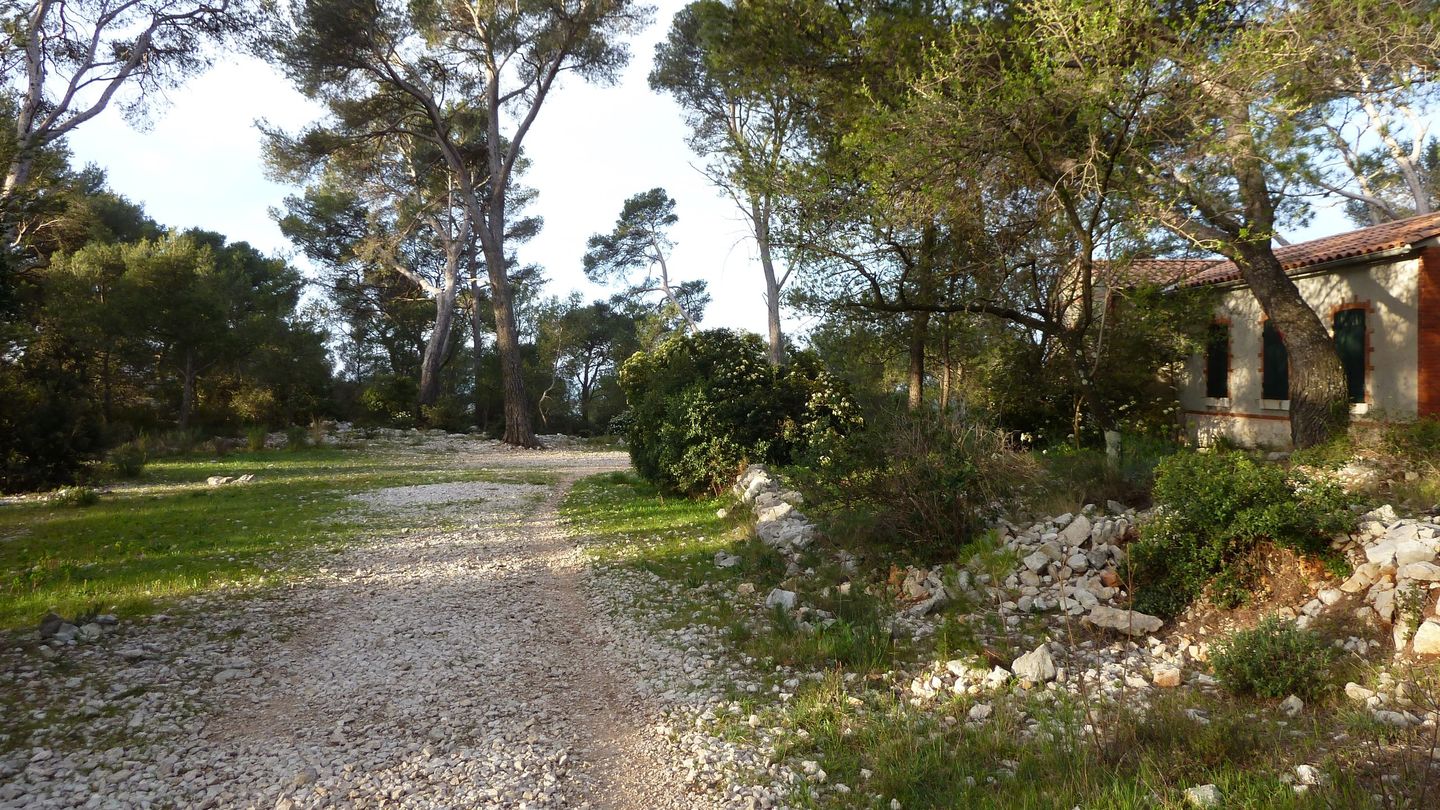 P1000052.JPG
