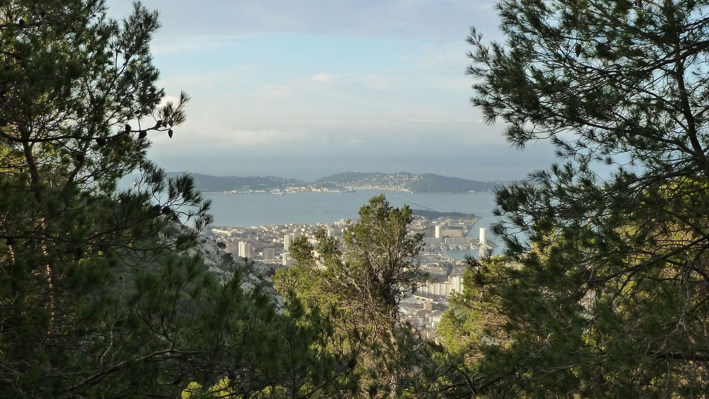 P1000054.JPG