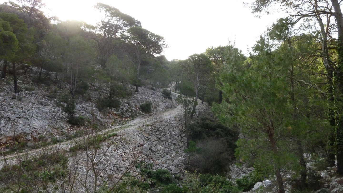 P1000056.JPG