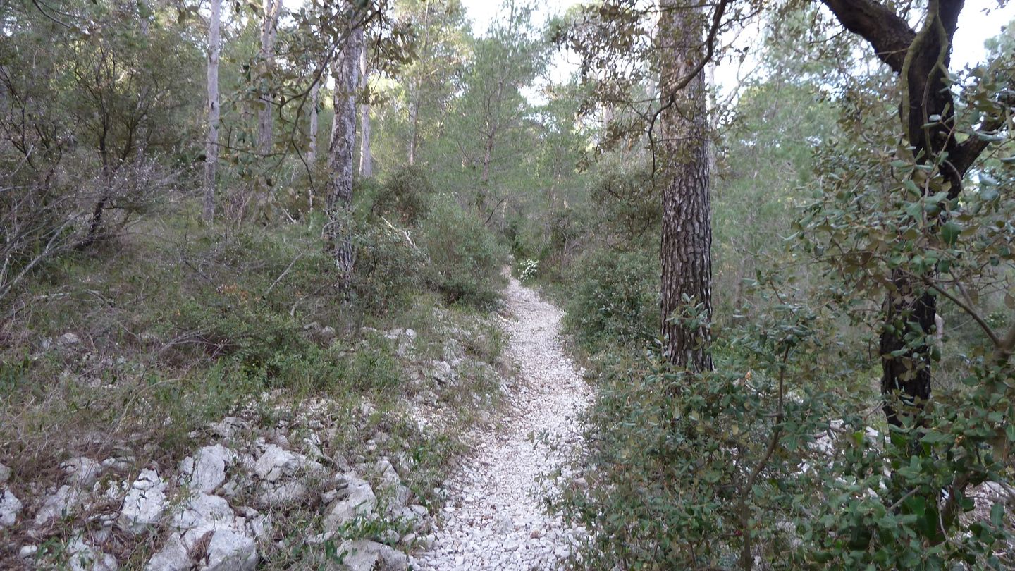 P1000061.JPG
