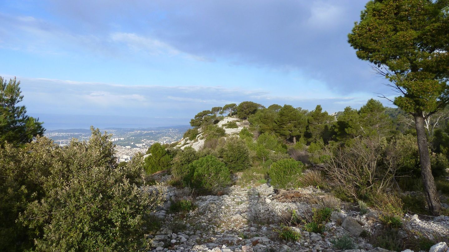 P1000070.JPG