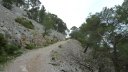 P1000037.JPG